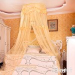 Dôme faux plafond filets moustiquaire  Ciel de lit léger pour l’anti-moustiques cour princesse-C Queen1 - B07C6B2TSL